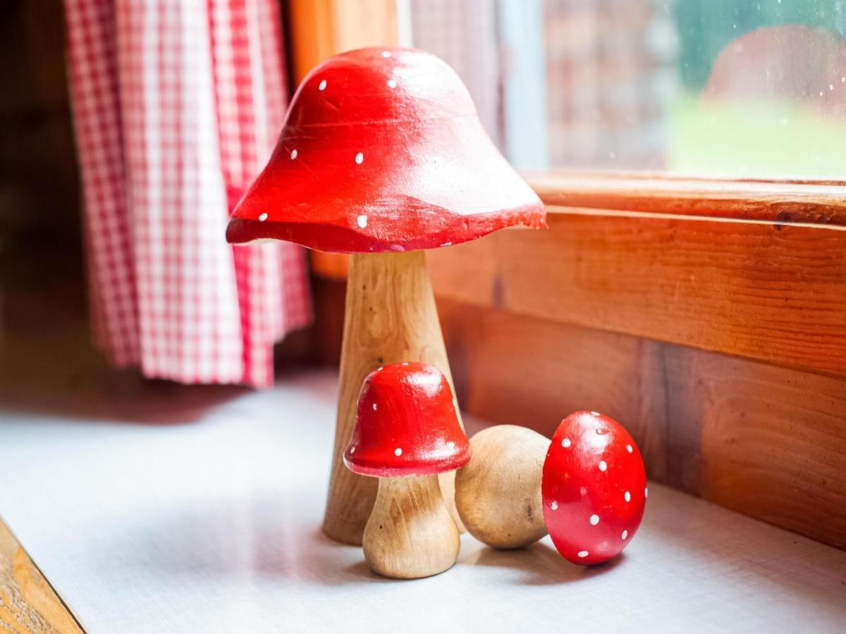 Vintage Holiday Home In Vorarlberg Near Ski Area شوارزنبرغ المظهر الخارجي الصورة